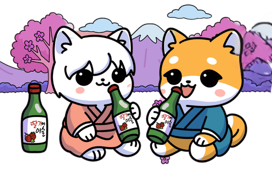 Shiba and cat drinking soju under cherry blossoms
